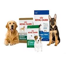 Pet Products & Accessories